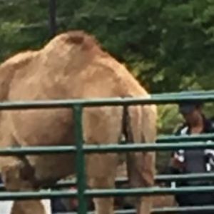 Meet your Posher, Alex